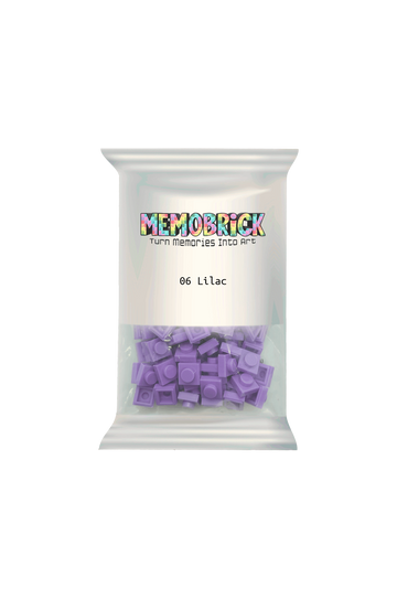 Bag of Bricks-Lilac 06 - Memobrick