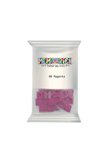 Bag of Bricks -Magenta 08 - Memobrick