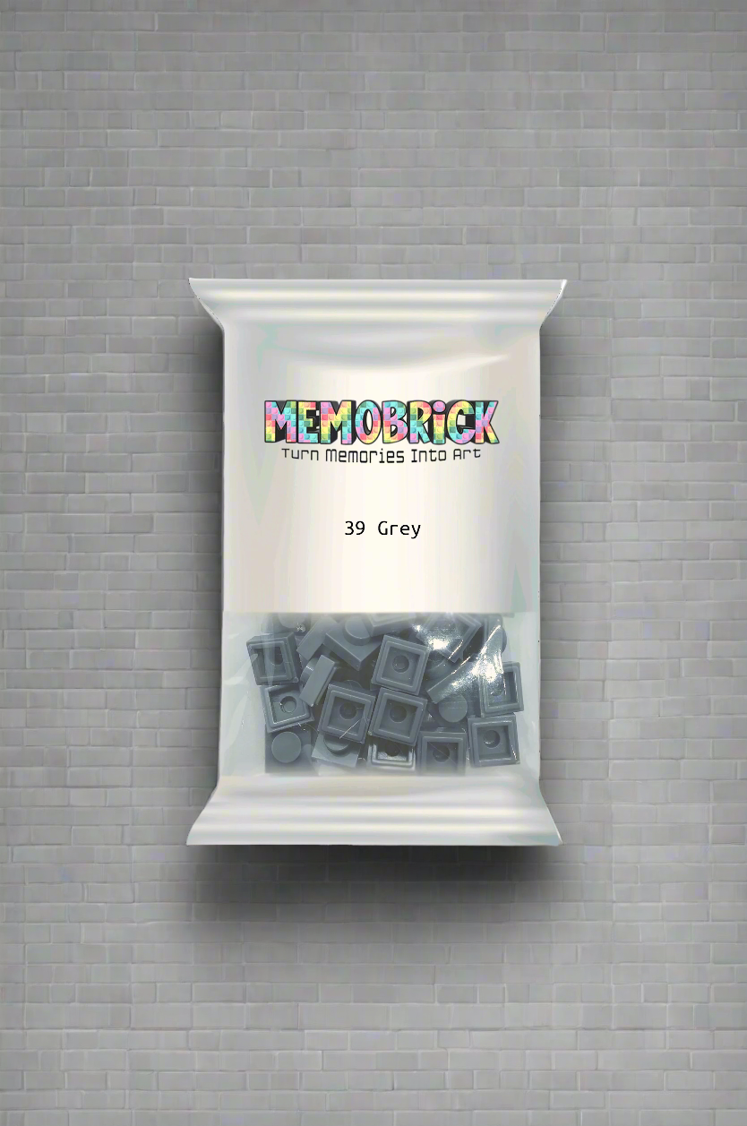 Bag of Bricks - Grey 39 - Memobrick